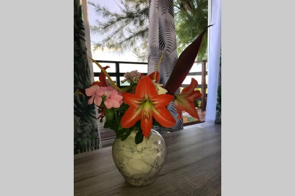 Matira Beach Bungalow Waterfront Bora Bora 0*,  Polinesia Francese